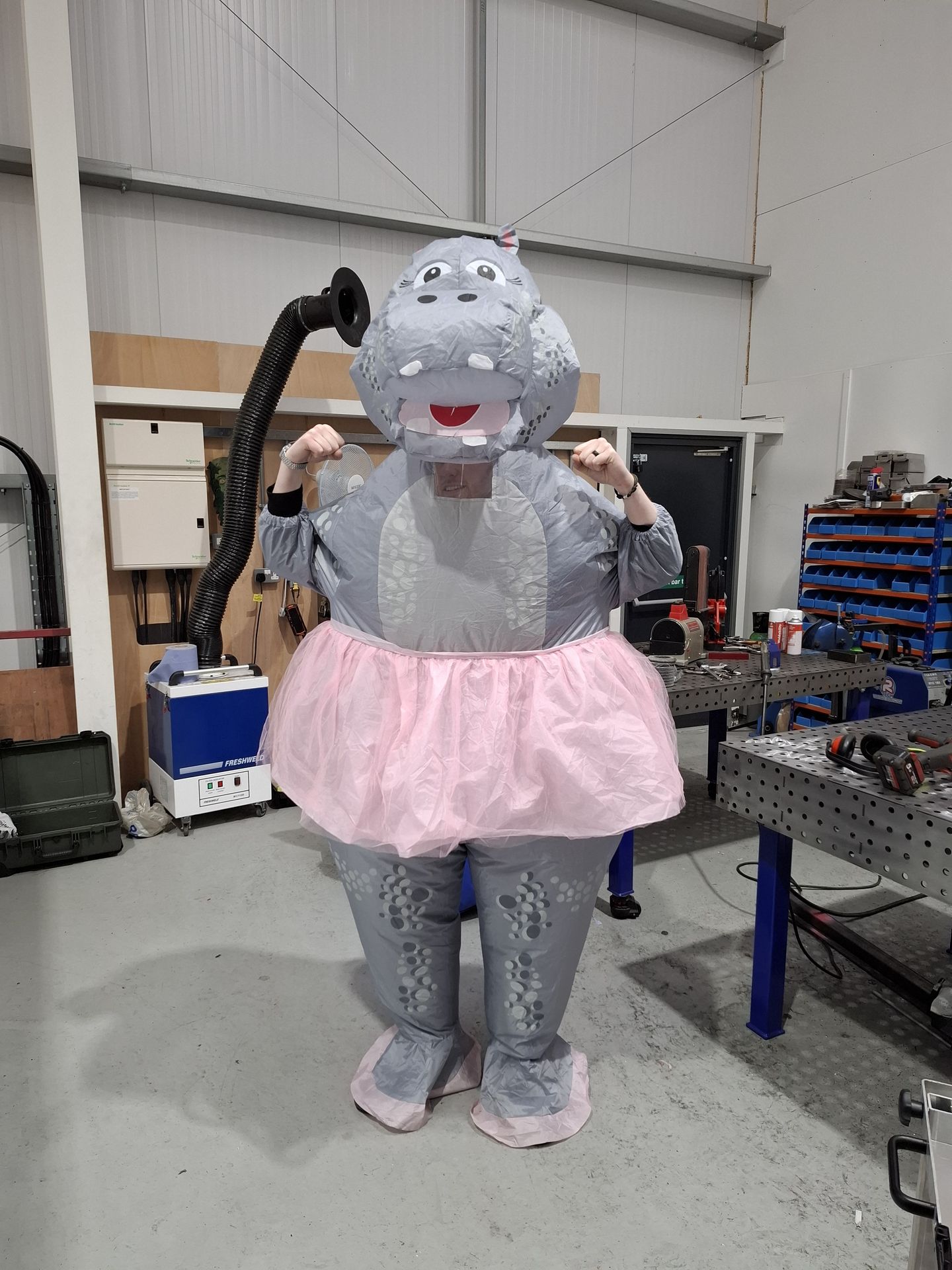 Hippo Carts Hippo Mascot